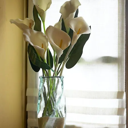 El Llagar De * Naveda (Asturias)